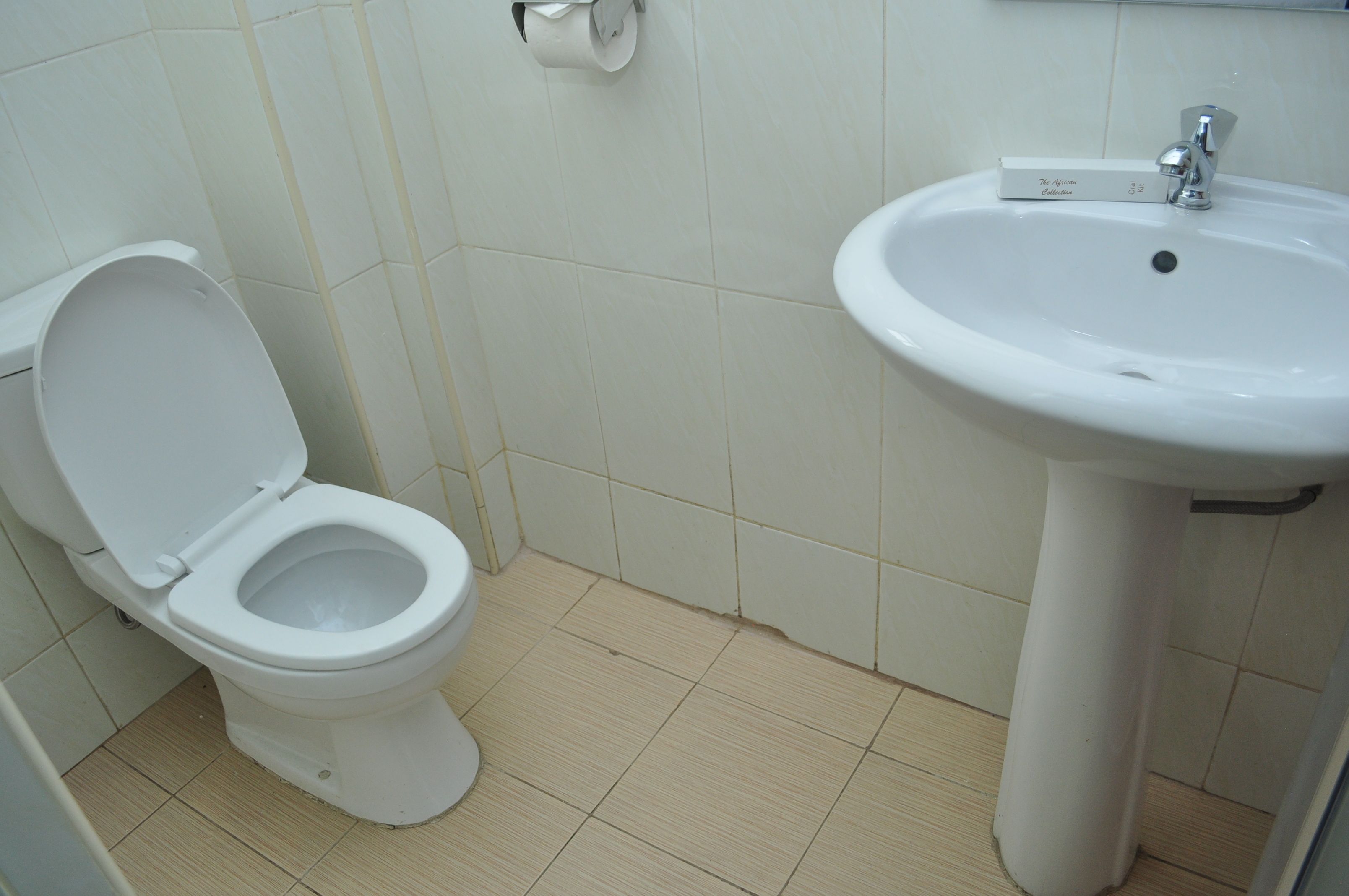 A bathroom with a toilet and a sink.