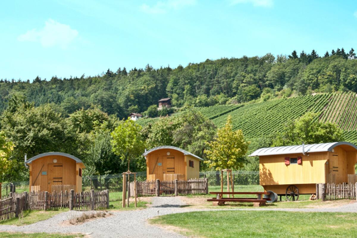 Three wooden cabins with a gravel path leading to them, surrounded by a wooden fence and lush greenery.