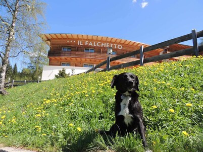 Il Falchetto