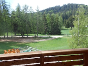 A view from a wooden deck overlooking a grassy area with a dirt path, surrounded by dense forest. - Il Falchetto (Sarnonico)