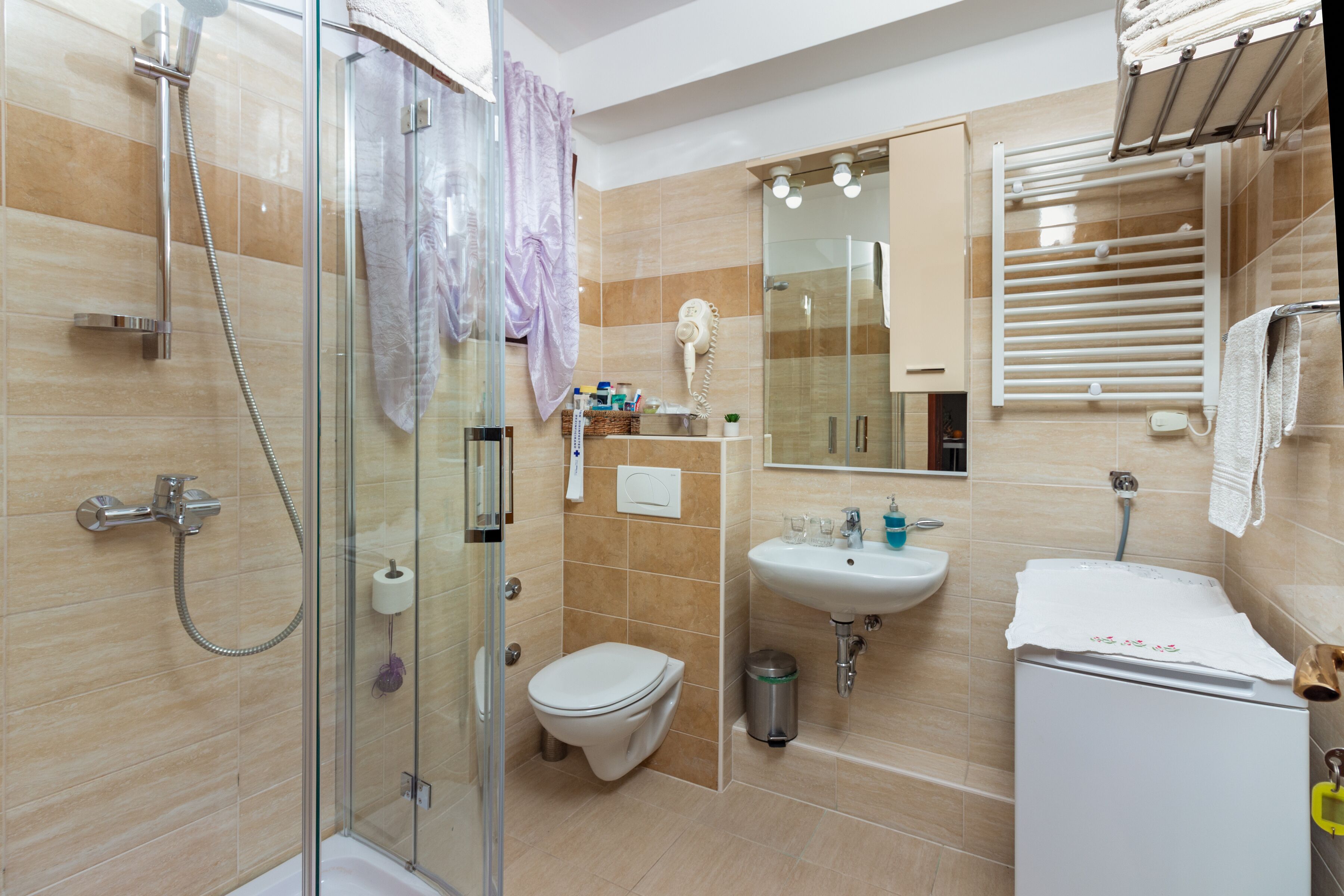 A modern bathroom with a glass shower enclosure, a toilet, a sink, and a mirror.