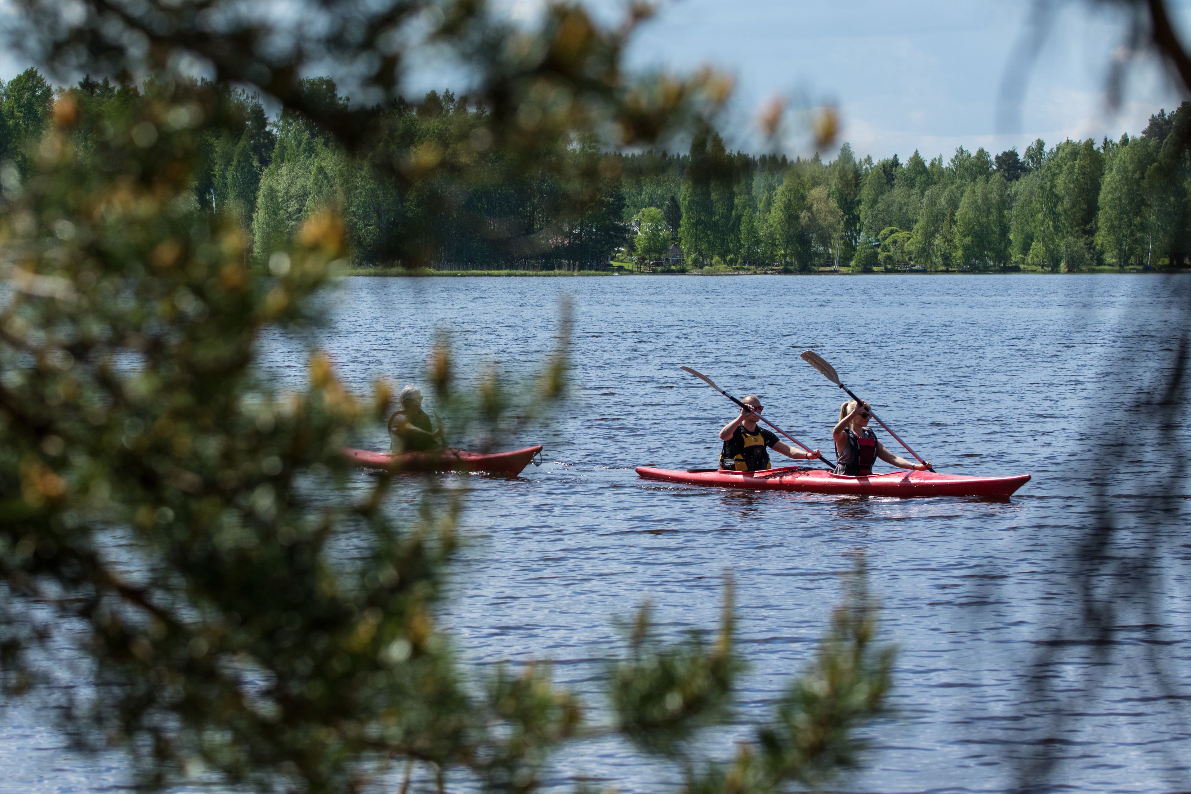 Zwei Kajaks auf einem ruhigen See, im Hintergrund ein dichter Wald.