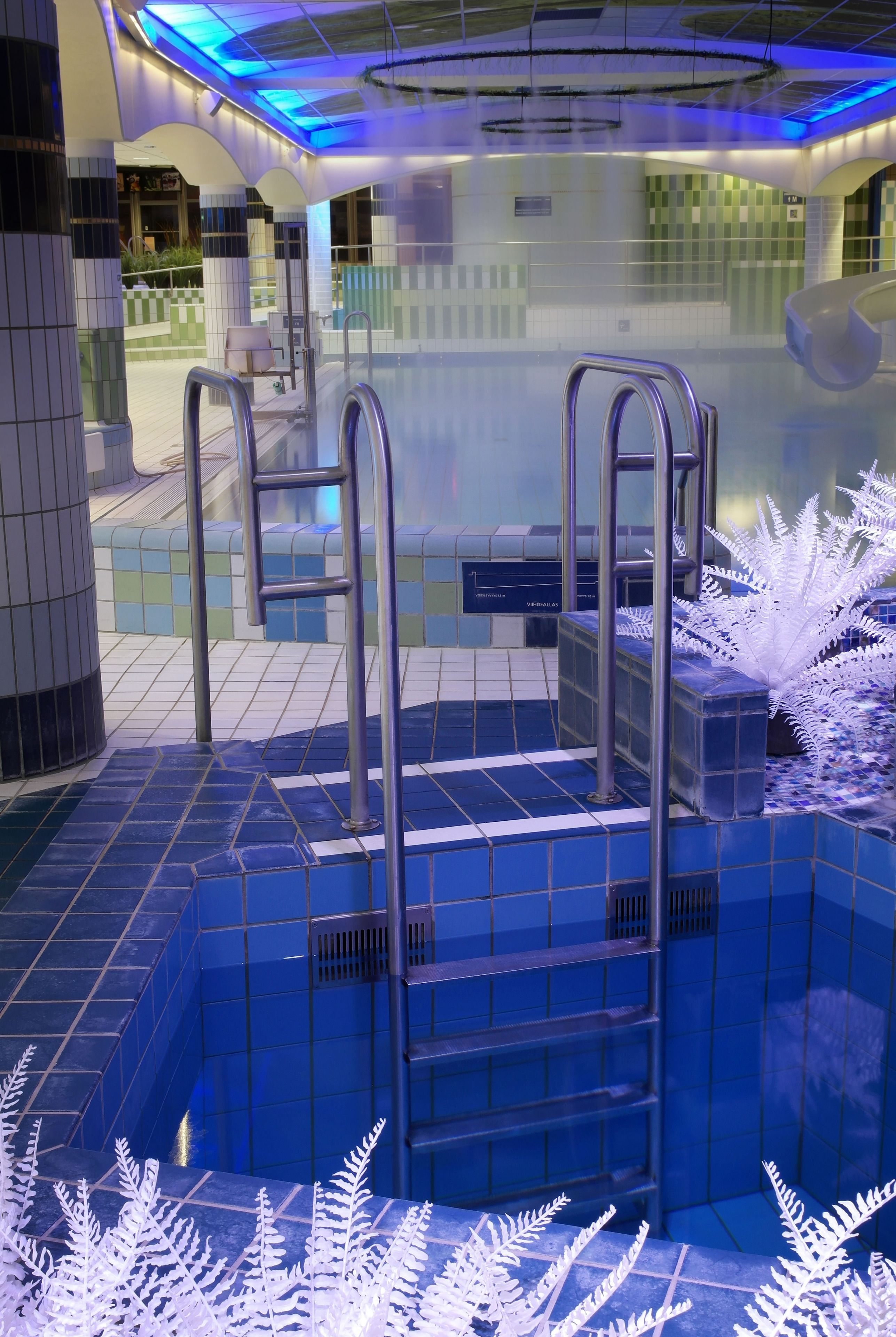 A modern indoor pool area with clear water, metal ladders, and decorative white fern-like structures.