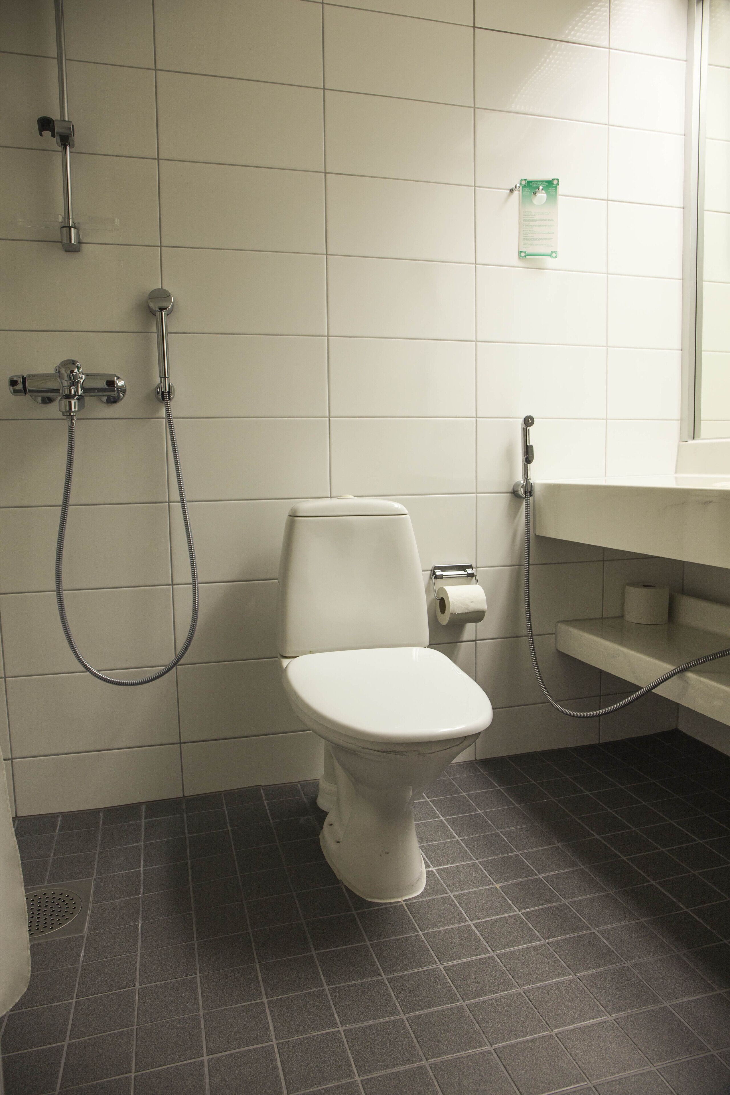 Un baño con inodoro, ducha y lavabo.