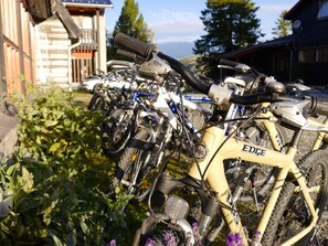 Bicycling