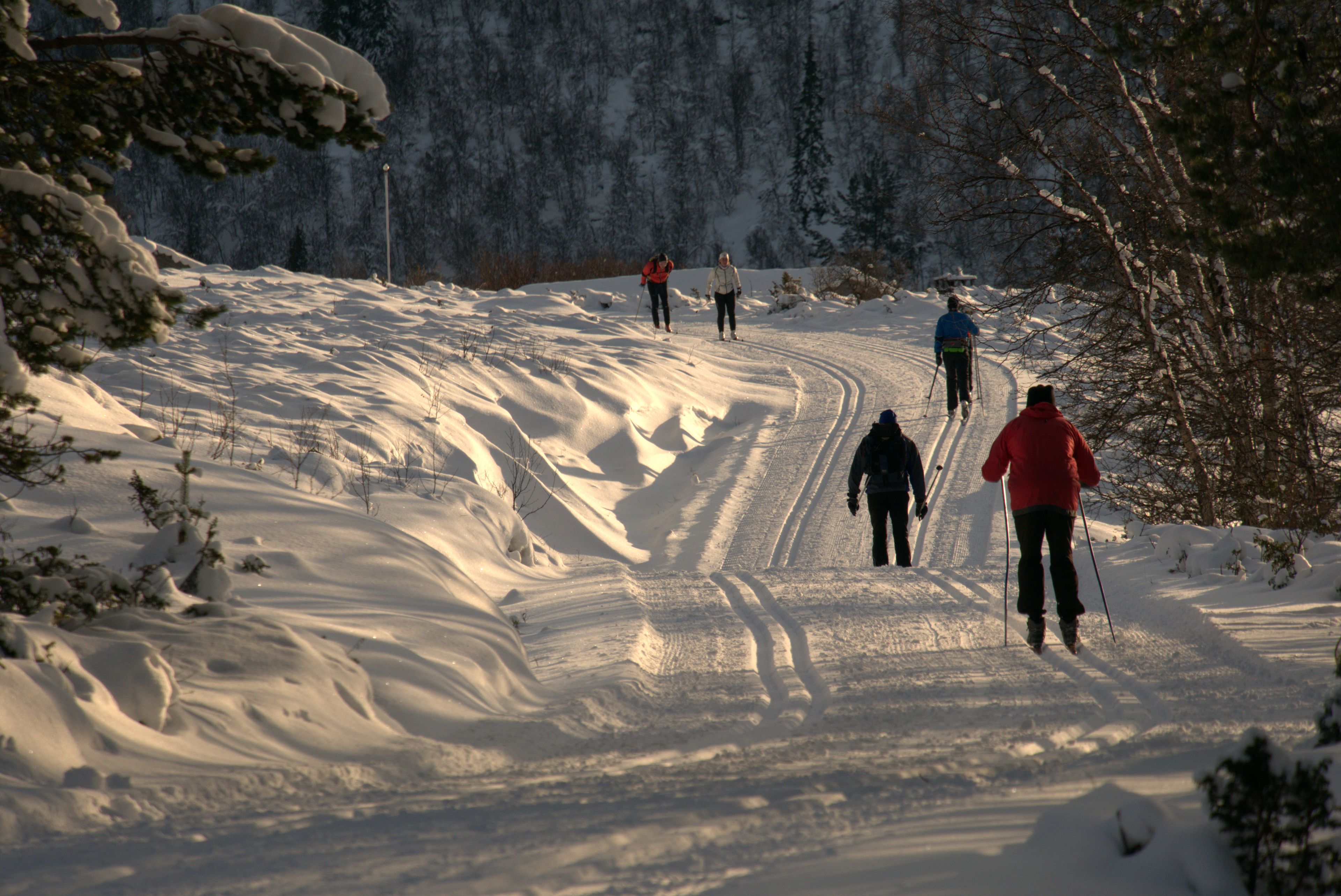 Skiën