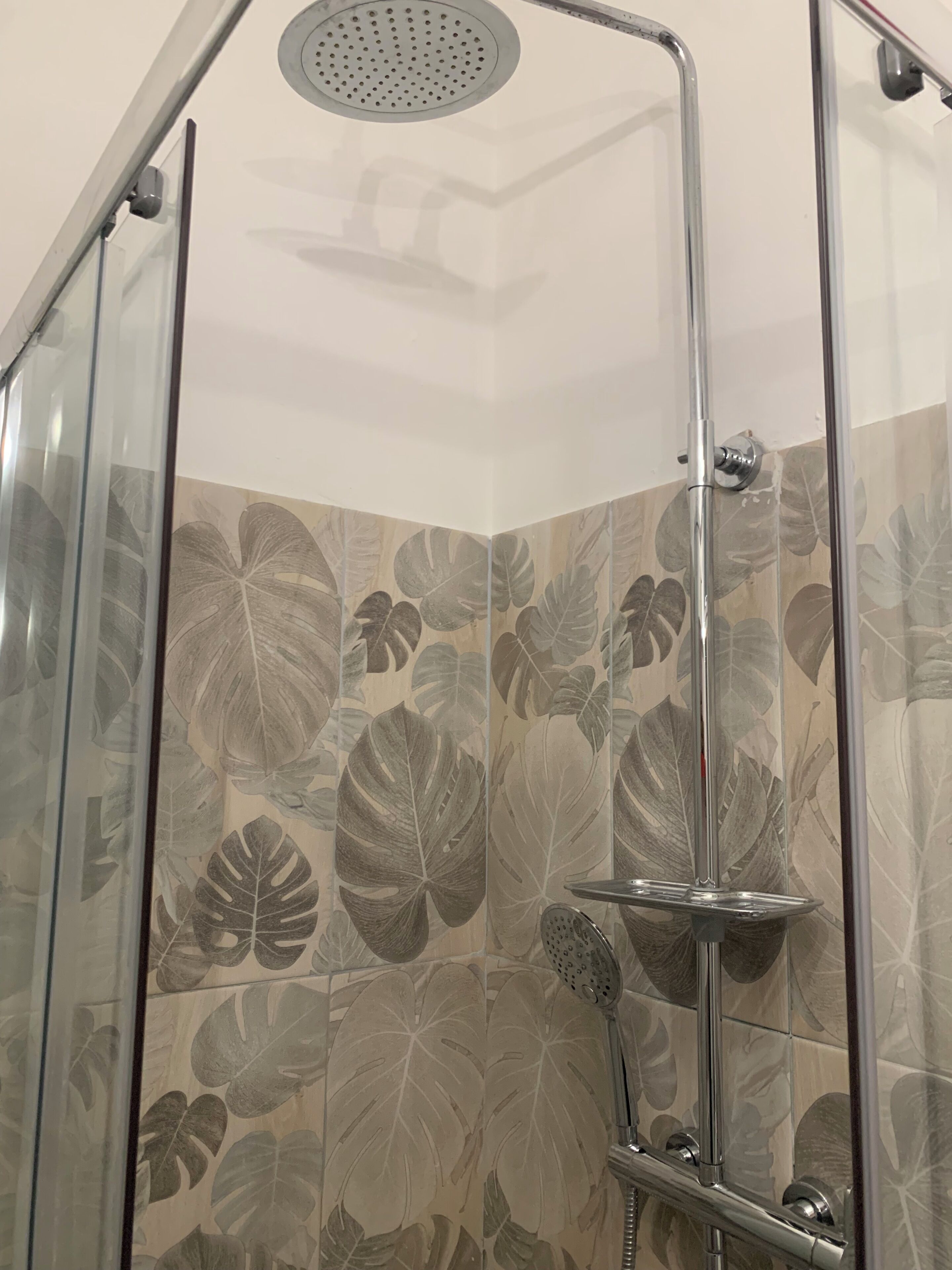 Eine Dusche mit Glastür, Duschkopf und Handbrause.