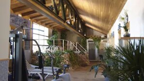 A gym with exercise equipment, a wooden ceiling, and potted plants. - Hotel Palacio de Oñate Spa (Guadix)