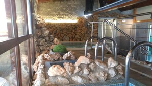 A stone-walled pool area with a tiled floor, metal handrails, and a green plant. - Hotel Palacio de Oñate Spa (Guadix)