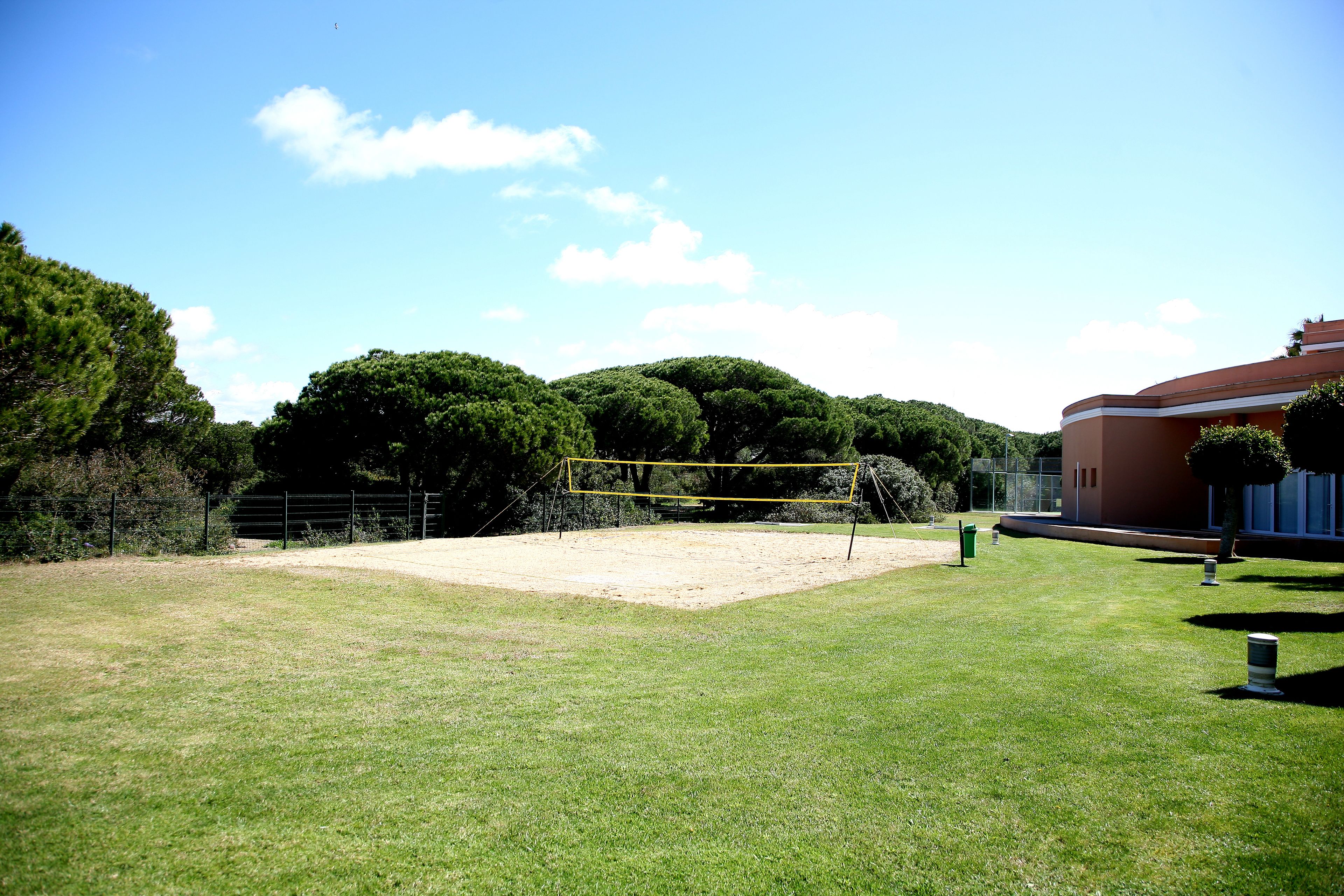 Una cancha deportiva con una red, rodeada de césped y árboles.