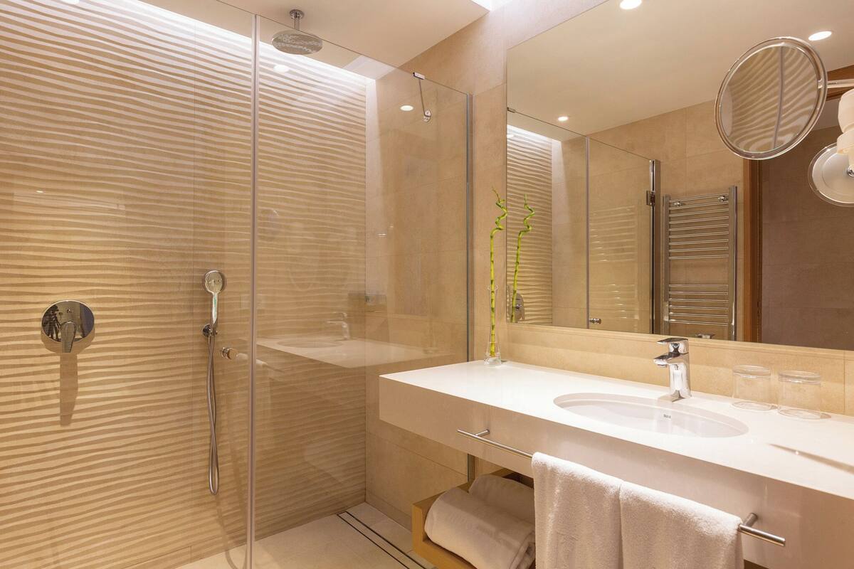 shower, free toiletries, hair dryer, towels