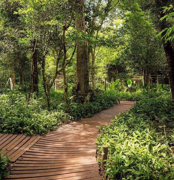 Exterior - Village Cataratas (Puerto Iguazú)