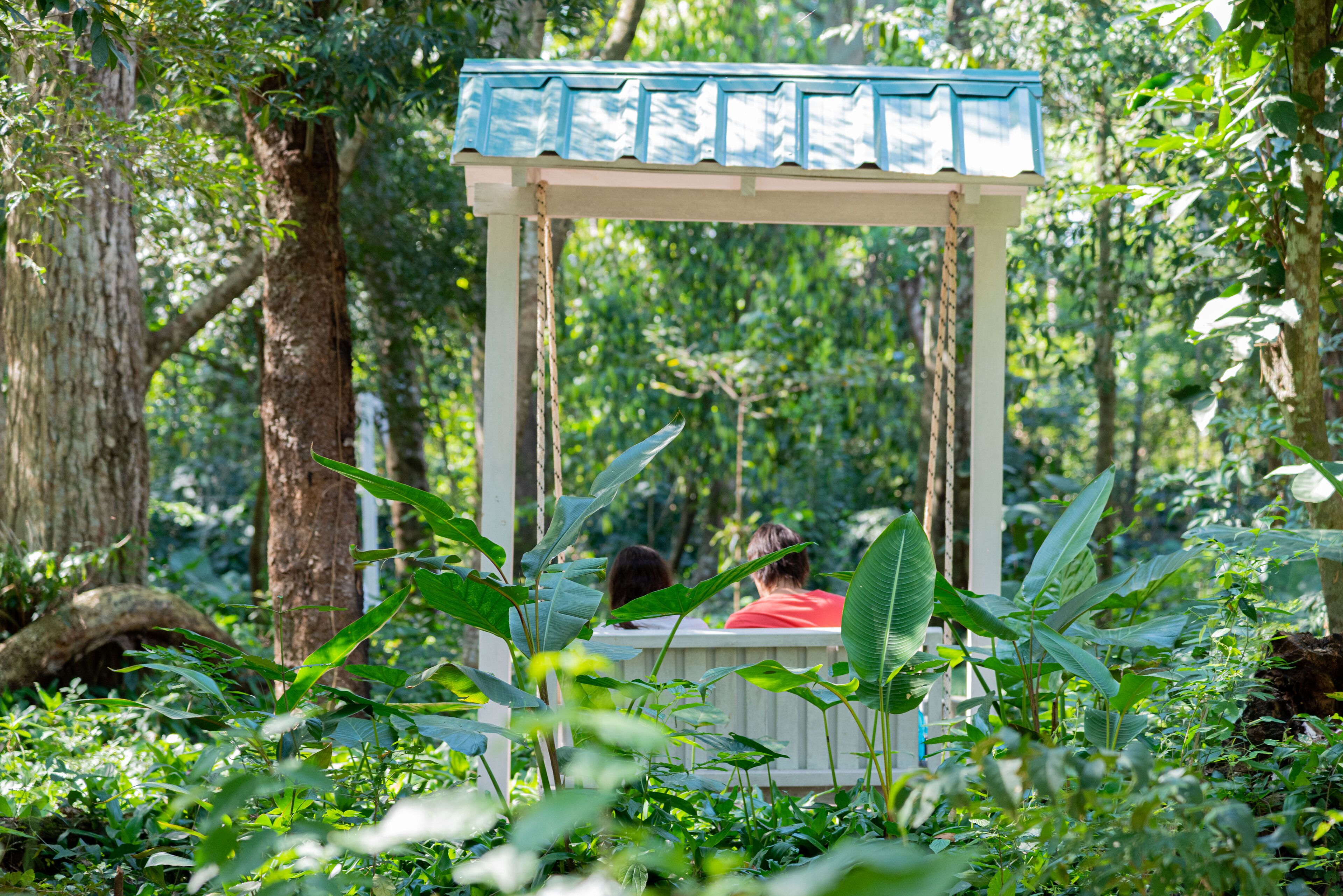 A wooden swing set in a lush garden with dense foliage and trees.