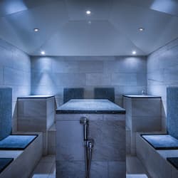 Sauna seca, banheira de hidromassagem, sauna a vapor