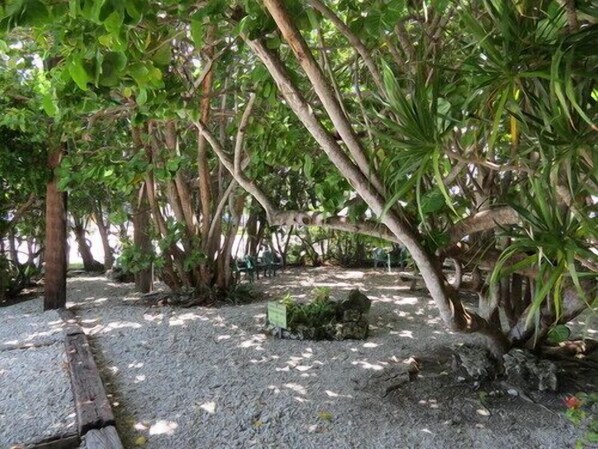 BBQ/picnic Area - Ed & Ellens Lodging Key largo (Key Largo)
