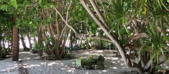 Ed & Ellens Lodging Key largo