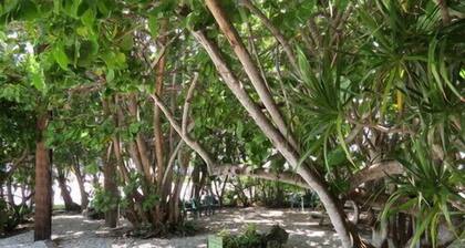 Ed & Ellens Lodging Key largo