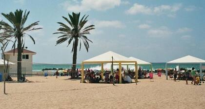 Palm on the Beach
