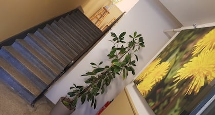 Easy-Living Apartments Lindenstrasse 21