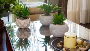 Traditional Apartment | Living area | 32-inch flat-screen TV with cable channels, TV - Providencia Town Apartments (Santiago)