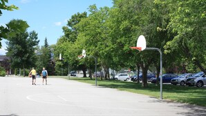 Un campo da basket all'aperto con alberi e auto parcheggiate.