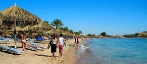 Playa privada cerca y submarinismo