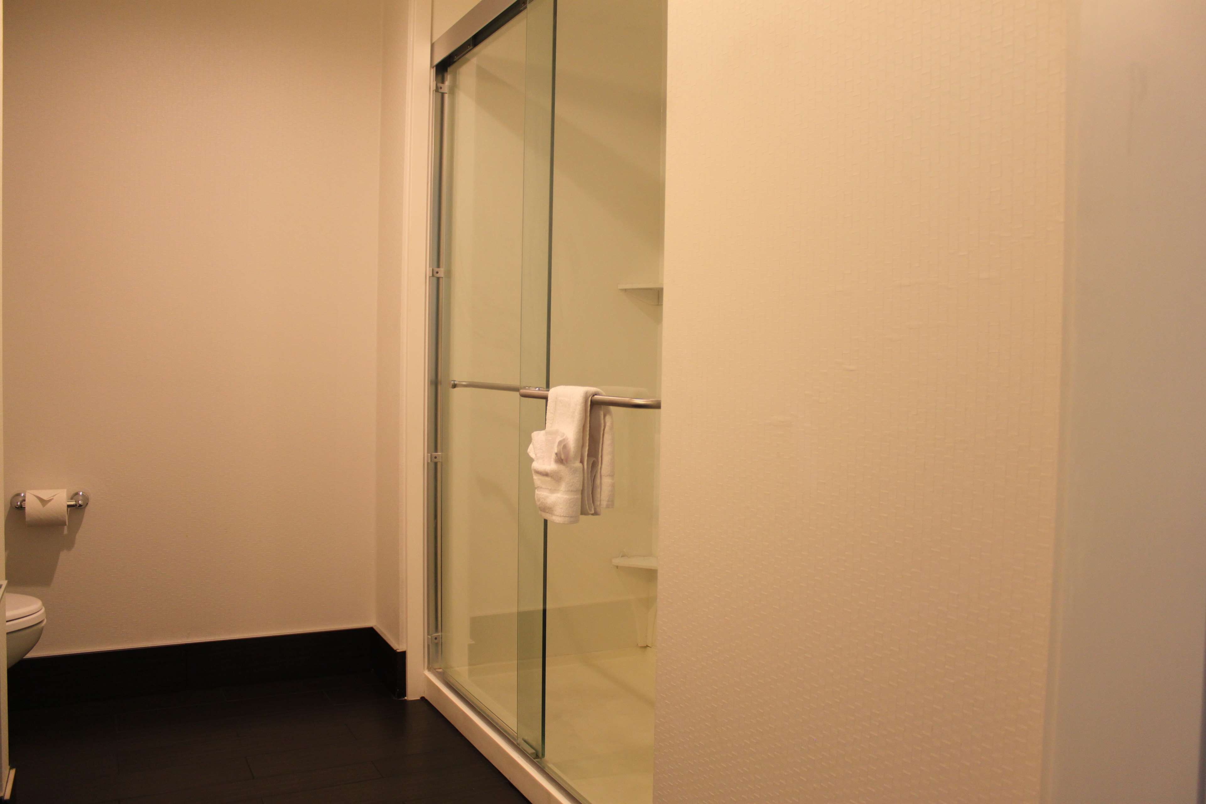 A bathroom with a glass shower enclosure, a toilet, and a towel rack.