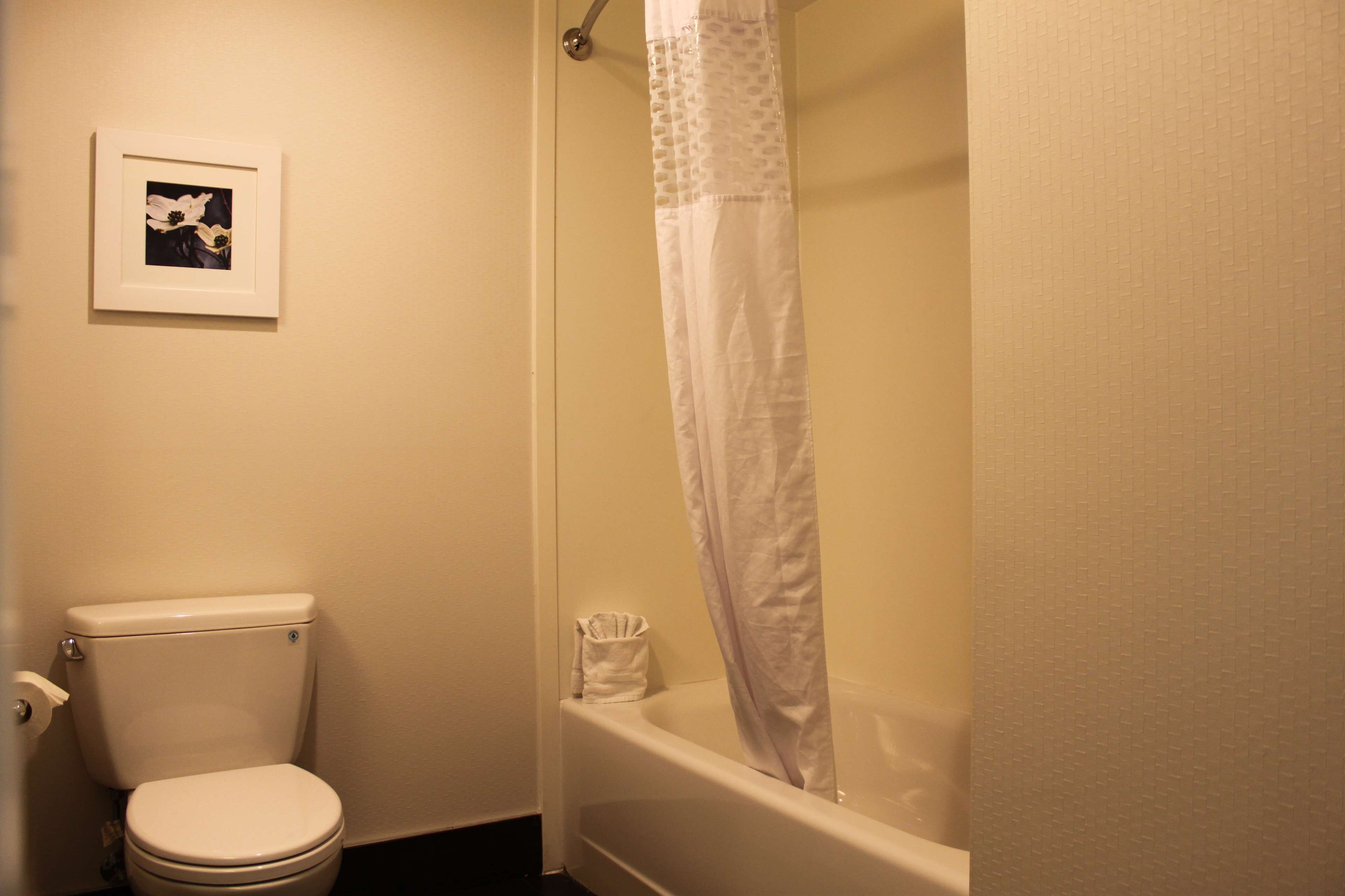 Een badkamer met een toilet, een badkuip en een douchegordijn.