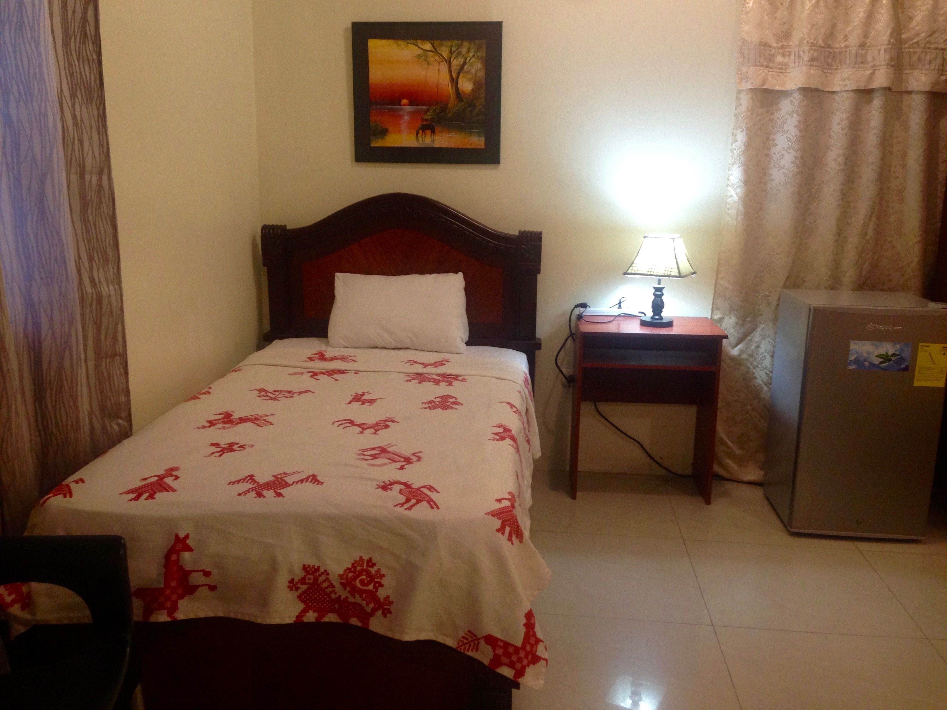 Habitación de hotel con una cama, una mesita de noche con lámpara, un refrigerador y un cuadro en la pared.
