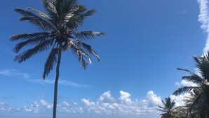 A beach with palm trees and ocean waves. - White Caps (Bathsheba)