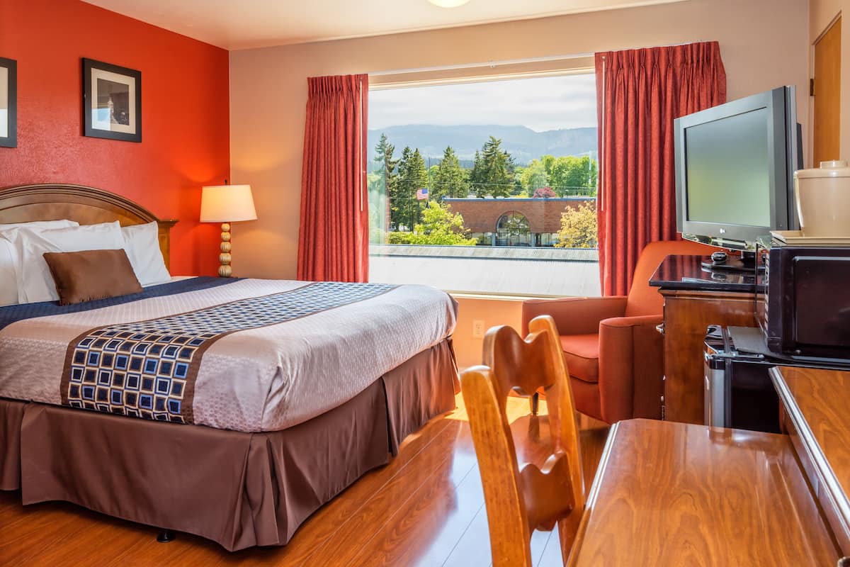 A hotel room with a bed, a desk with a television, a chair, and a view of mountains and trees.