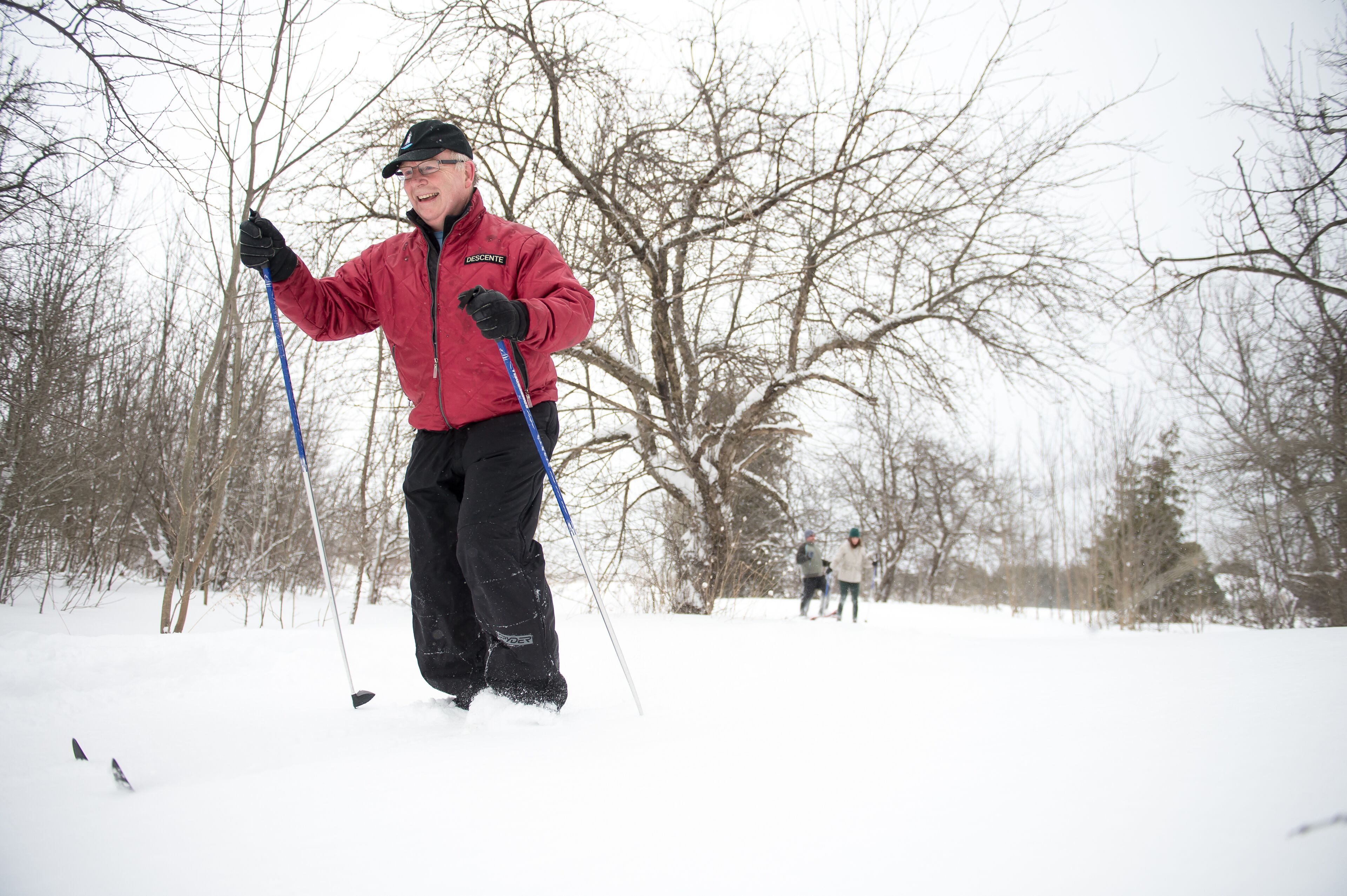 Eine Person fährt Ski in einer verschneiten Landschaft, im Hintergrund kahlbuschige Bäume.