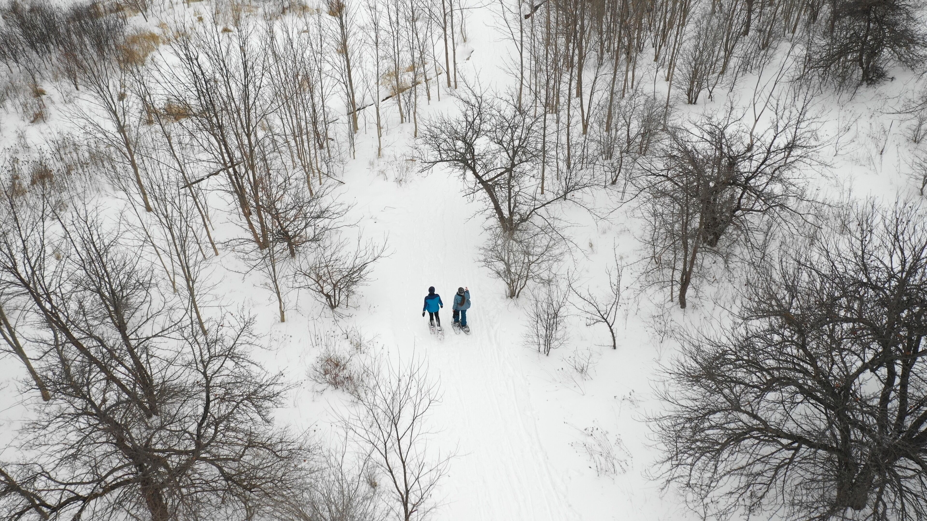 A snowy forest scene with two people walking.