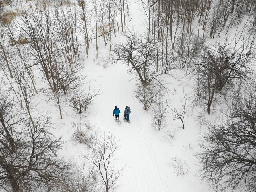 A snowy forest scene with two people walking.