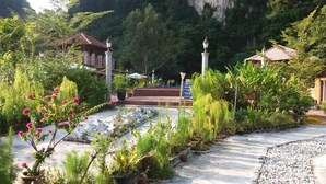 A garden with potted plants, a pathway, and a building with a tiled roof. - EFM Guest House (Ipoh)
