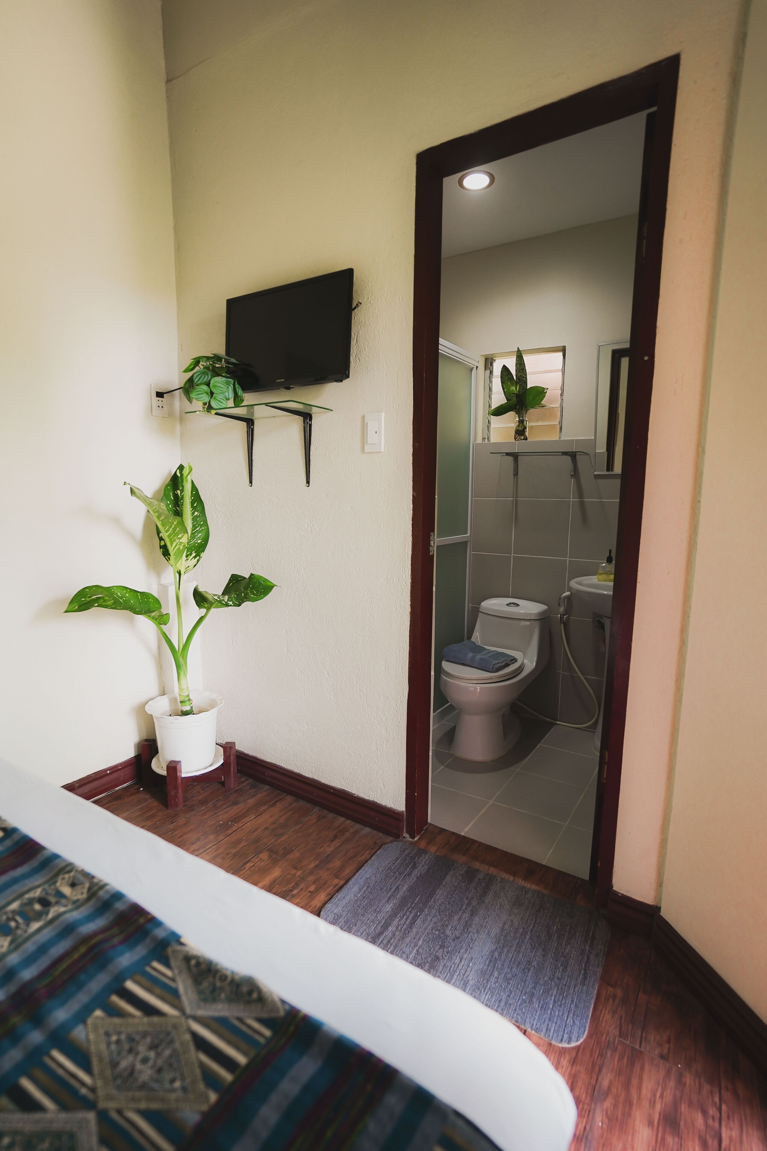 A bathroom with a toilet, sink, and shower. There is a potted plant on the floor and a TV mounted on the wall.