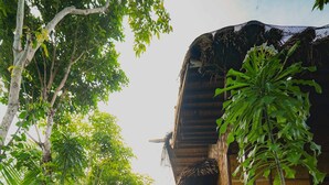 Un sendero estrecho bordeado por exuberante vegetación y edificios de madera tradicionales con tejados de paja.