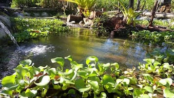 Ngoại thất