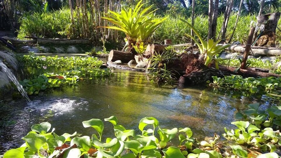 Chosa Manglar Nature Retreat