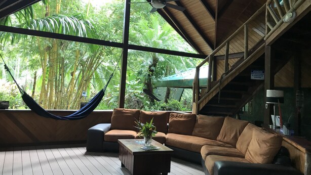 A spacious room with a large window, a hammock, a sofa, and a coffee table with a plant. - Chosa Manglar Nature Retreat (Puerto Jiménez)