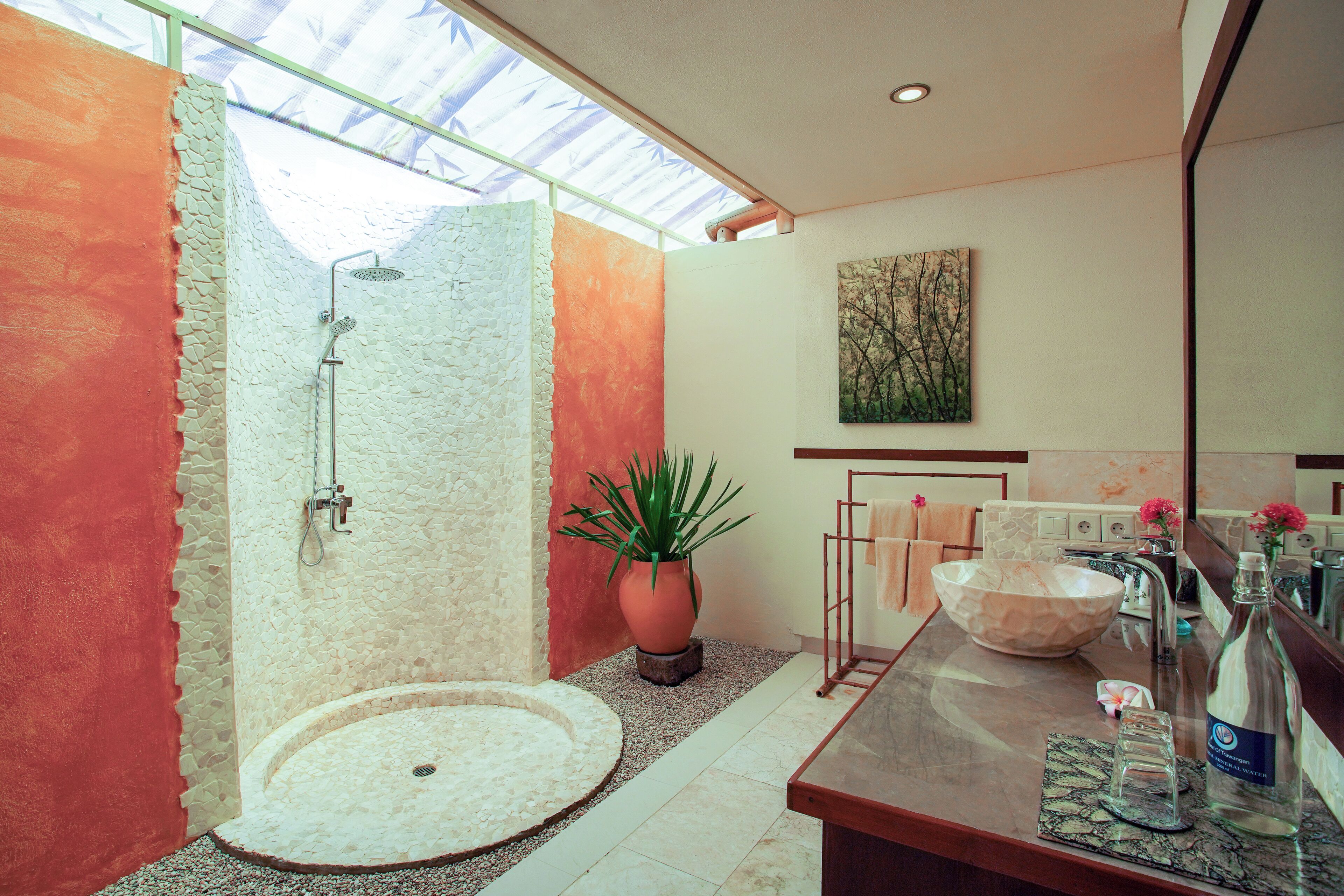 A modern bathroom with a walk-in shower, a large sink, and a potted plant.