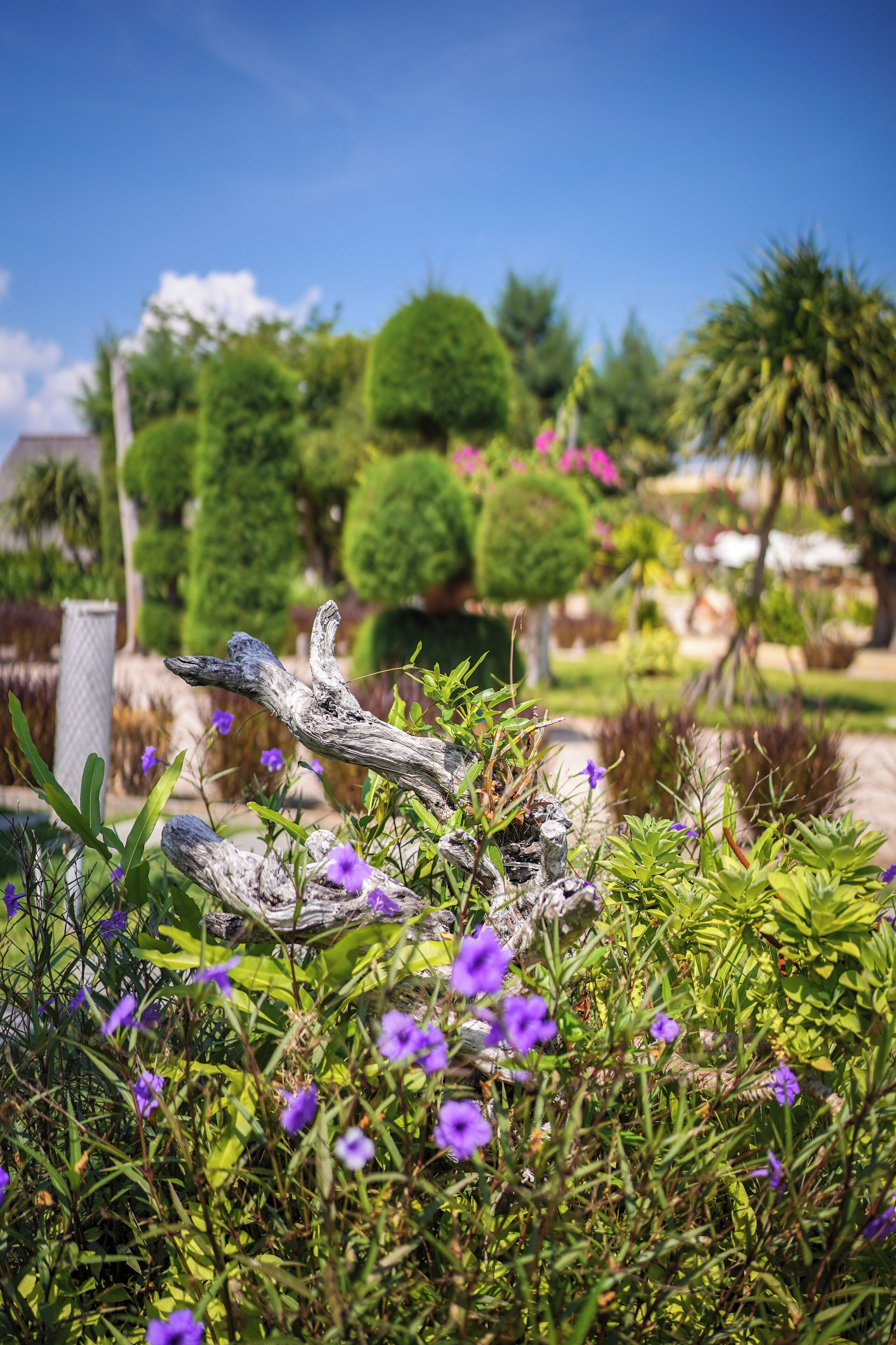 A garden with various plants and a decorative wooden structure.