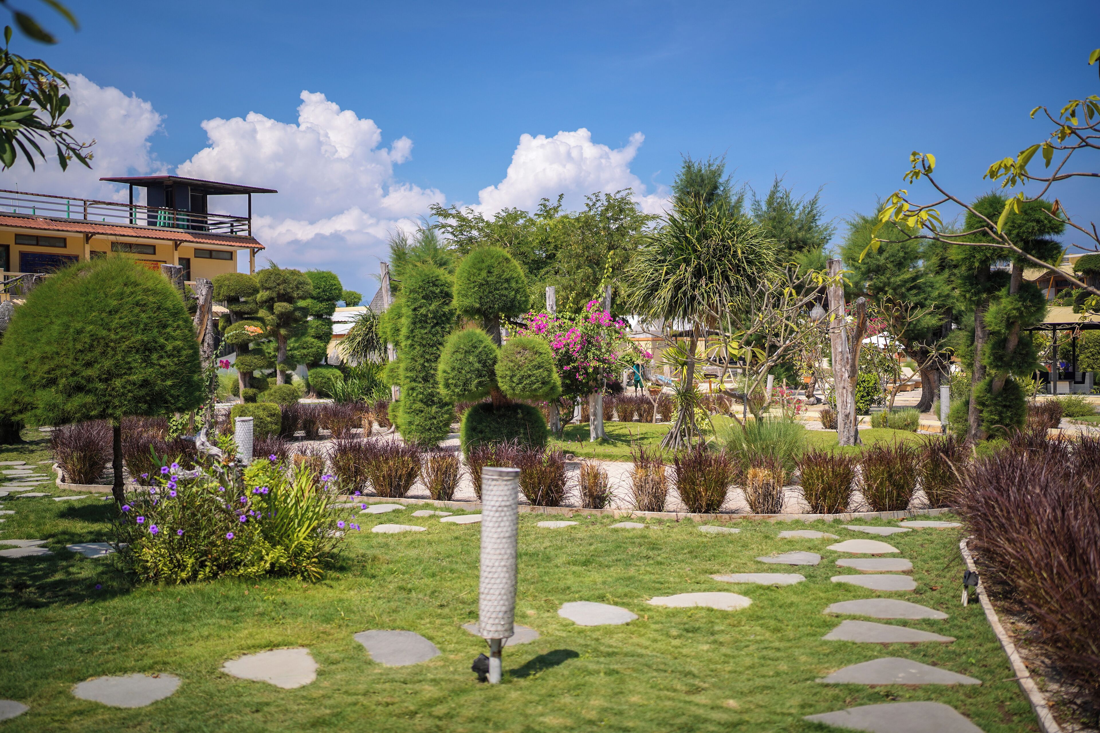Un jardin bien entretenu, avec une grande variété de plantes et un ciel dégagé.