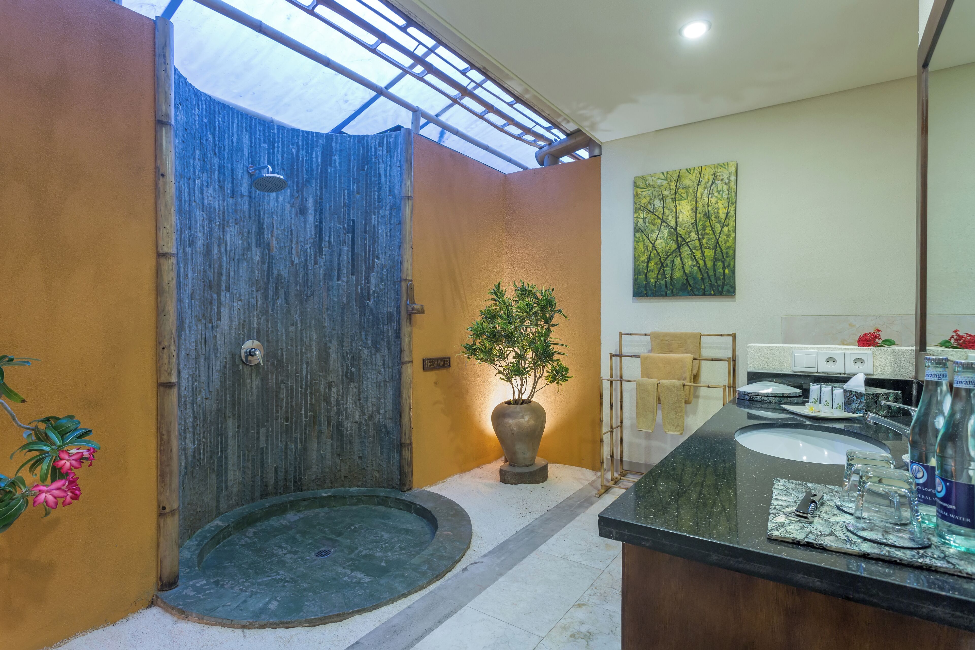 A modern bathroom with a shower, a sink, and a large potted plant.