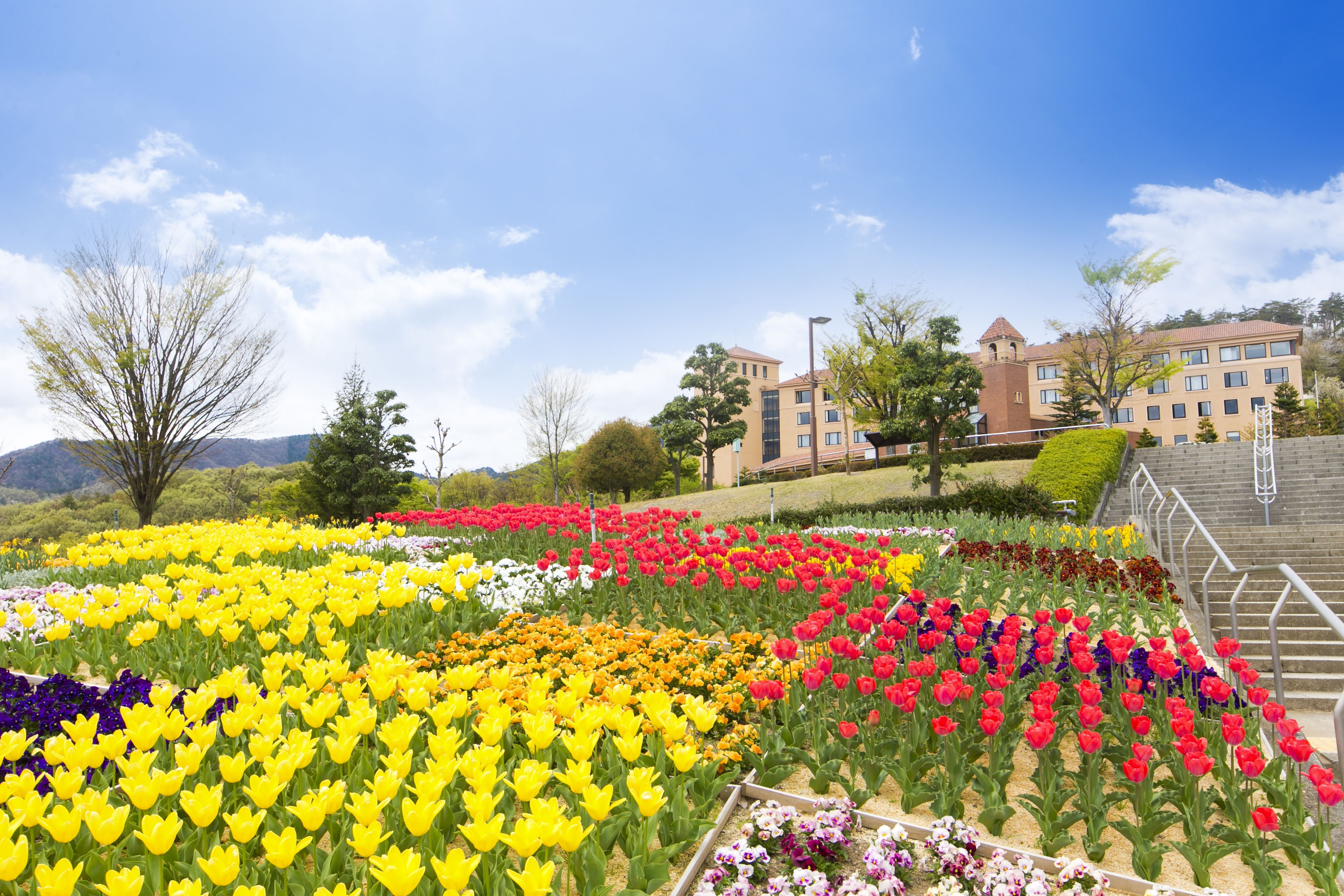 A flower garden with various colors of tulips and other flowers, a building with a tower, and a staircase leading up to the building.