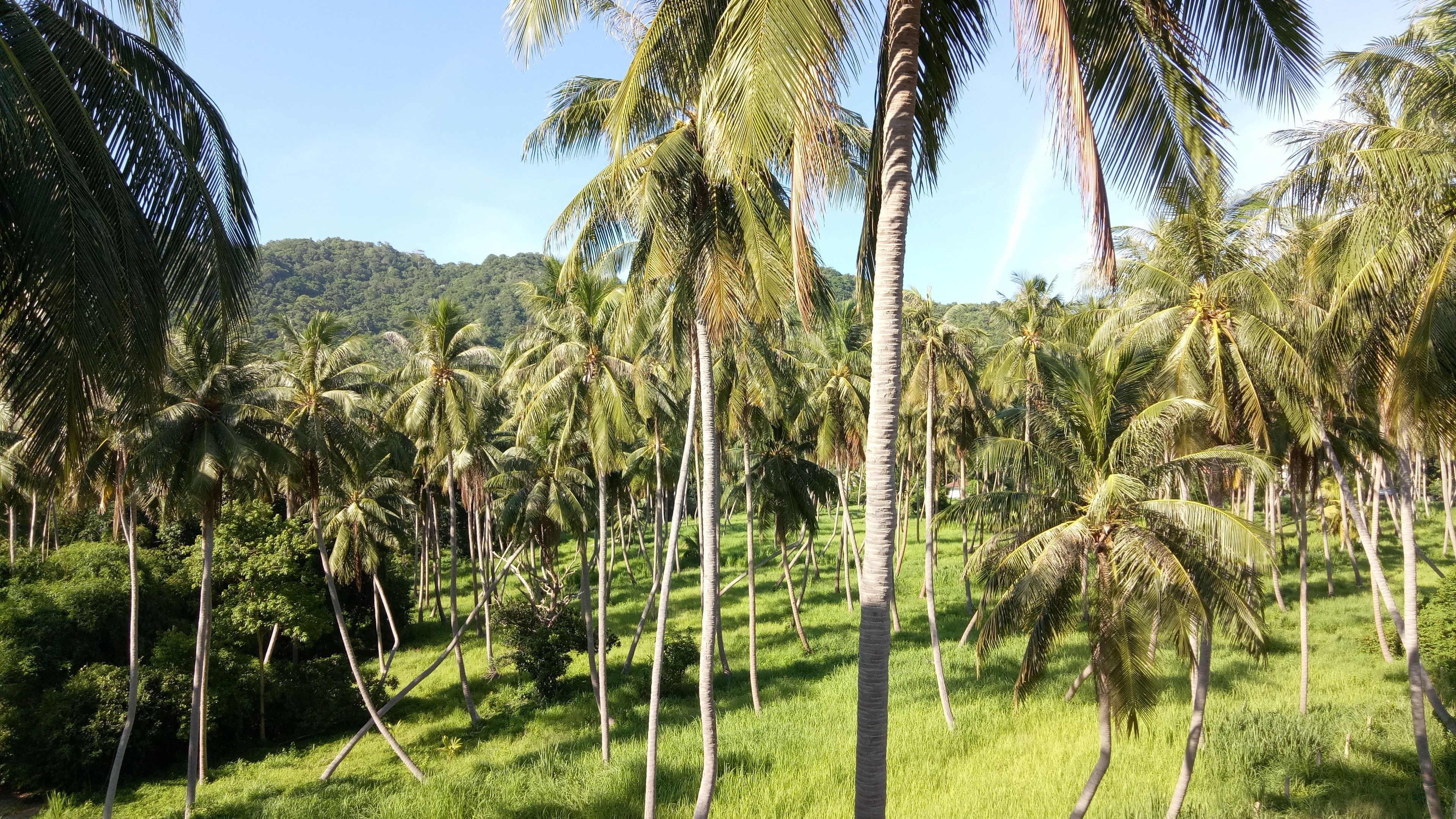 Photo - Good Dream Hotel (Khun Ying House)