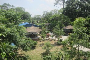 Jardín