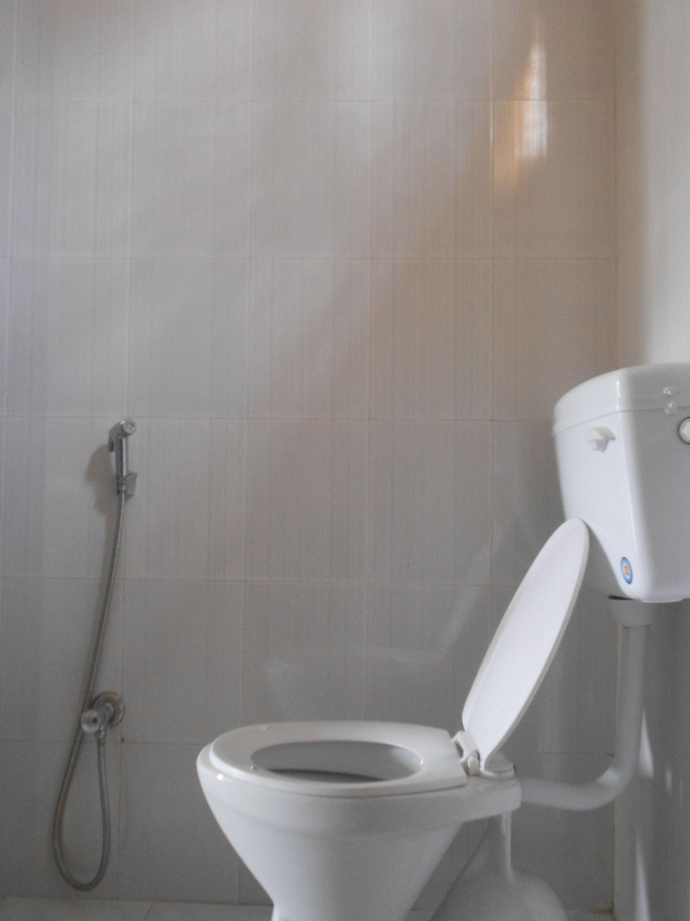 A bathroom with a white toilet, a shower, and a wall-mounted toilet paper holder.