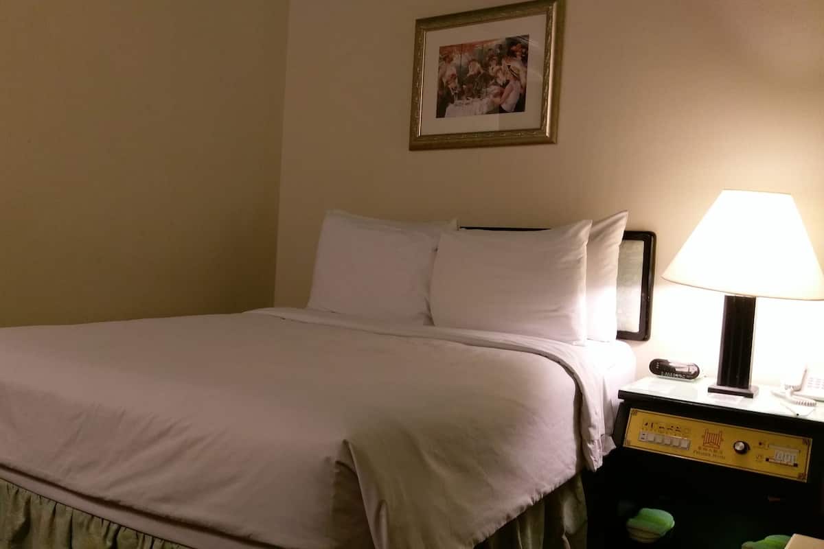 Standard Double Room, No Windows | Premium bedding, minibar, in-room safe, desk