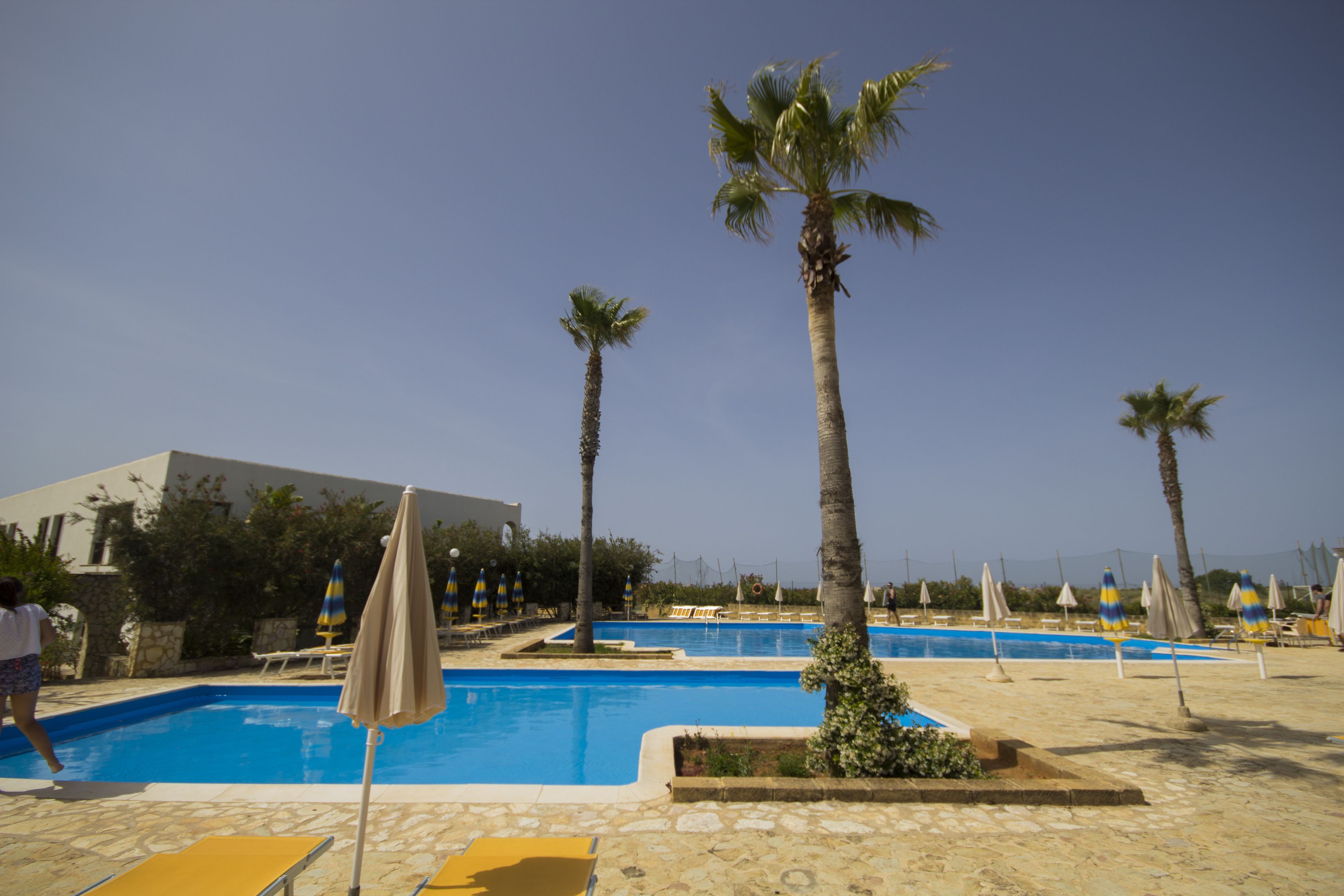 Area piscina con palme, poltroncine e ombrelloni.